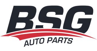 BSG Auto Parts