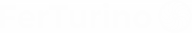 FerTurino